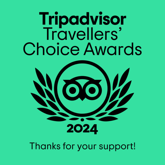 Traveler's Choice Award