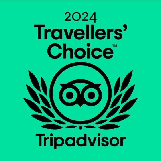 Traveler's Choice Award